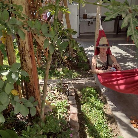 Flying Monkey Hostel Nazca Dış mekan fotoğraf