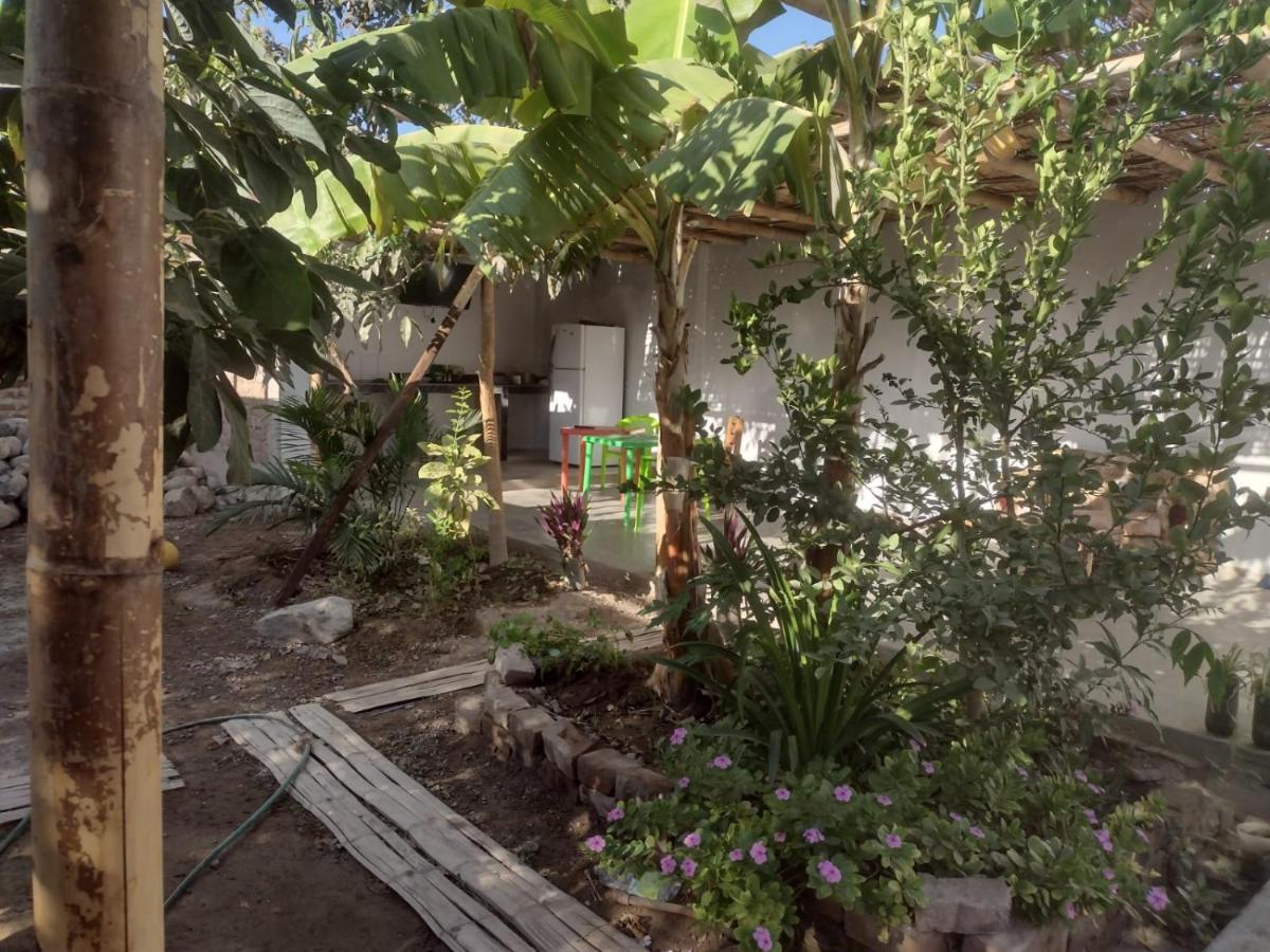 Flying Monkey Hostel Nazca Dış mekan fotoğraf