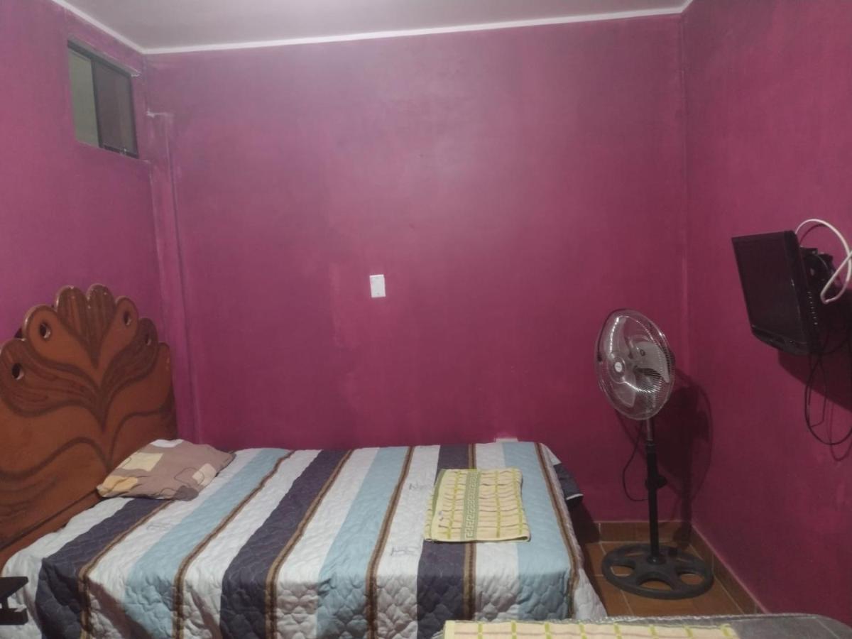 Flying Monkey Hostel Nazca Dış mekan fotoğraf